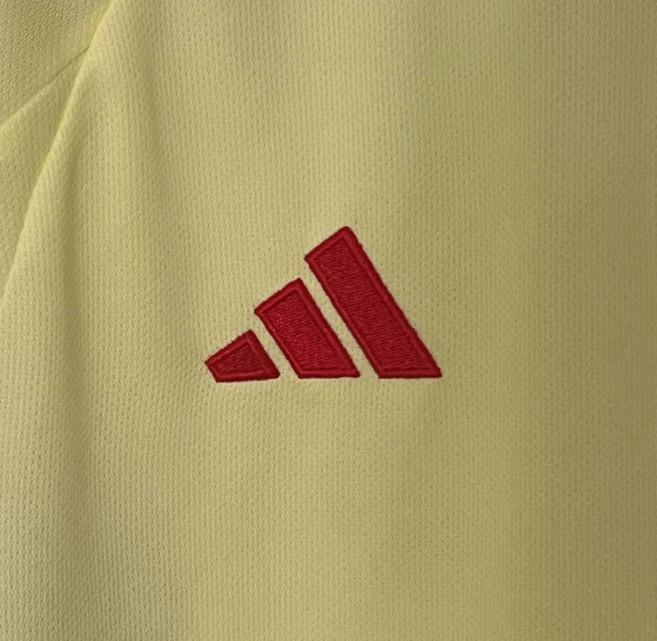 Wales 2024 Away Kit - Premium Quality Kits at Football Monarch