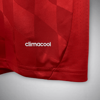 13/14 FC Bayern Home Premium Kit - Premium Quality Kits at Football Monarch