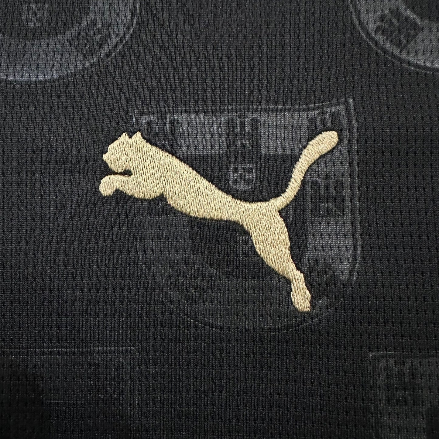 2026 Portugal "Black Panther" Premium Kit - Premium Quality Kits at FootballMonarch™