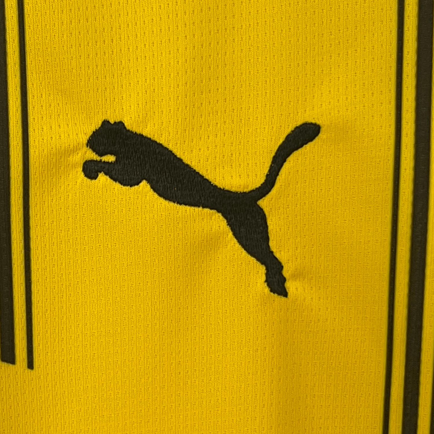 24/25 Borussia Dortmund Home Kit - Premium Quality Kits at Football Monarch