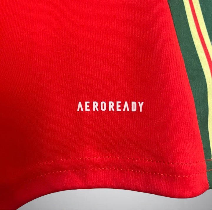 Wales 2024 Home Kit - Premium Quality Kits at Football Monarch