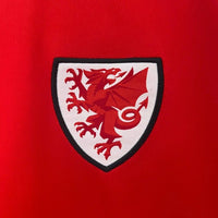 Wales 2024 Home Kit - Premium Quality Kits at Football Monarch