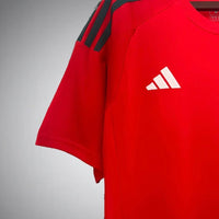 Wales 2024 Home Kit - Premium Quality Kits at Football Monarch